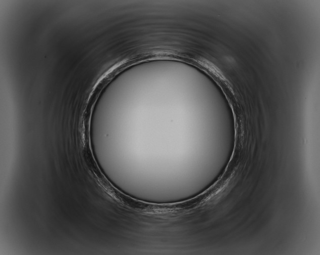 X0000086960782200705071335