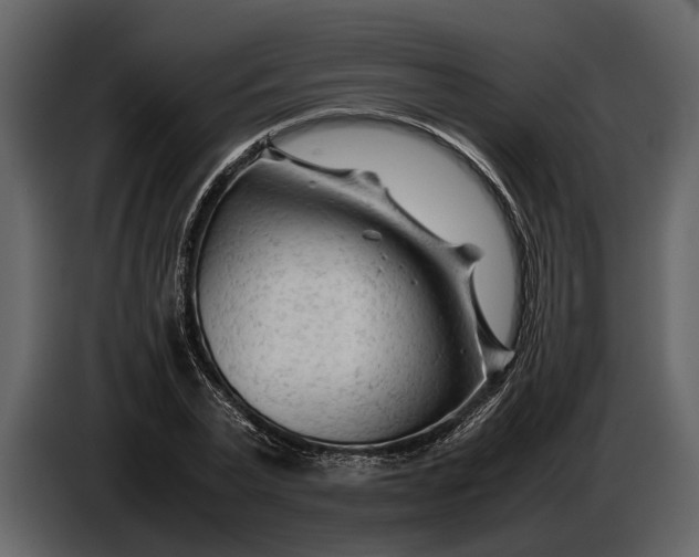 X0000086960783200705071335