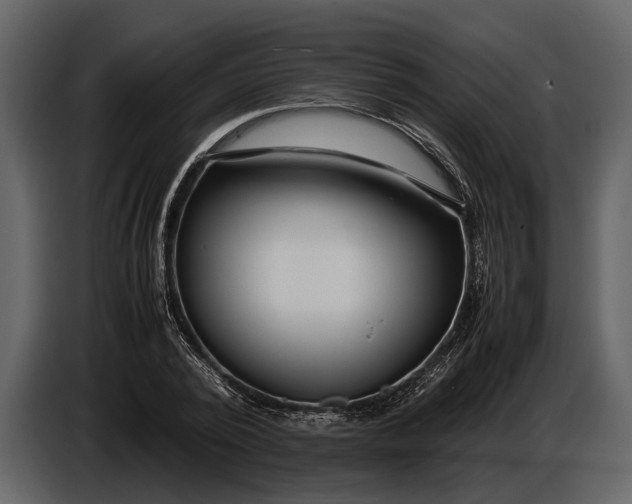 X0000086960784200705071335