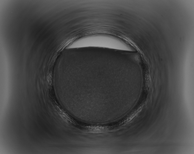 X0000086960785200705071335