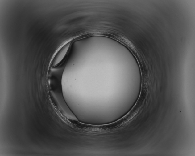 X0000086960787200705071335