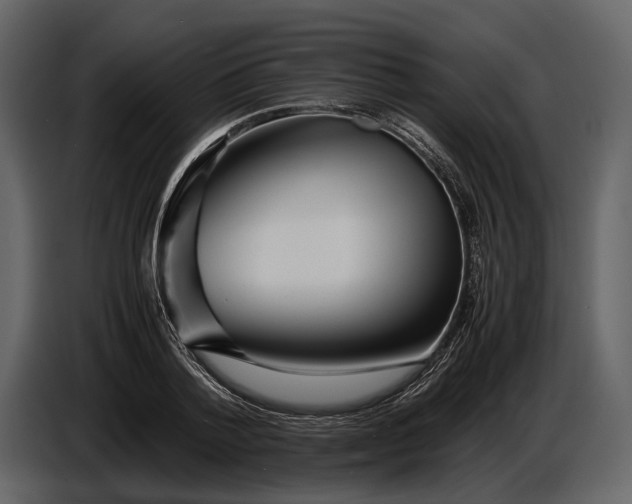X0000086960788200705071335