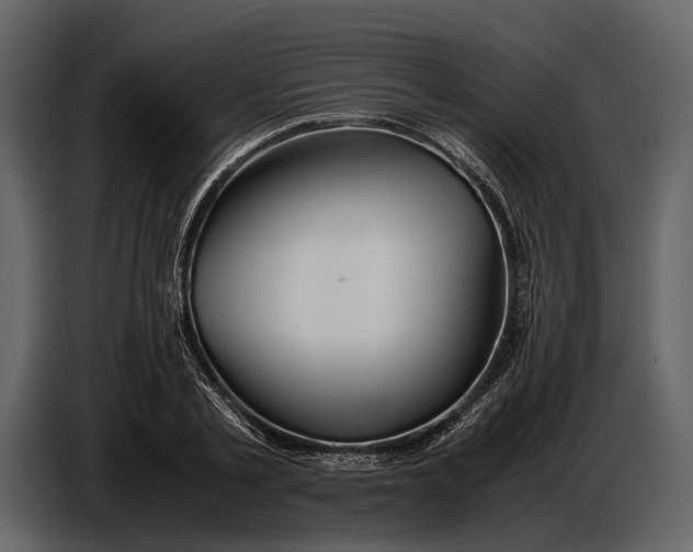 X0000086960789200705071335