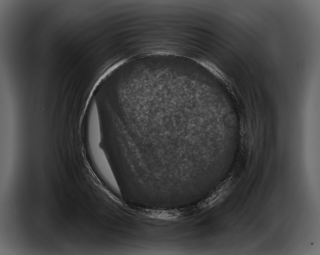 X0000086960790200705071335