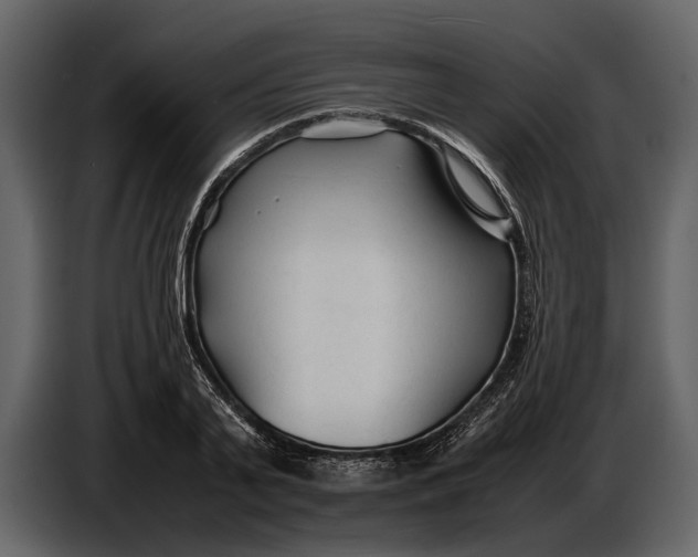 X0000086960791200705071335