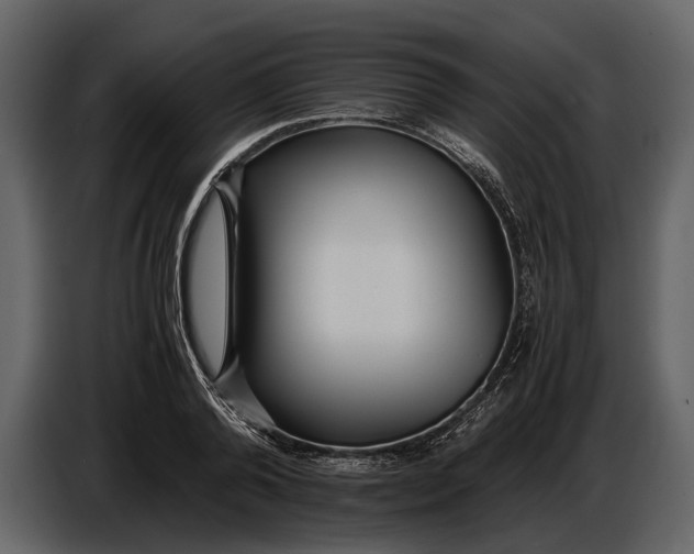 X0000086960792200705071335