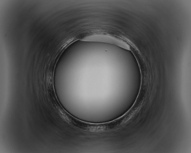 X0000086960793200705071335