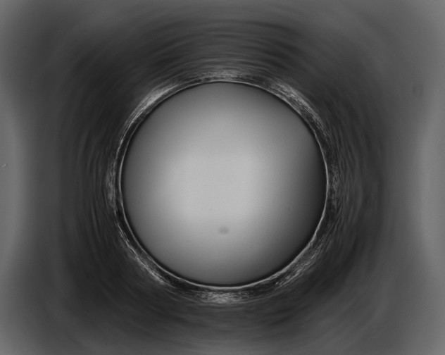 X0000086960794200705071335