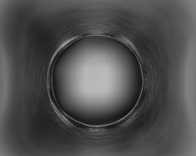 X0000086960795200705071335