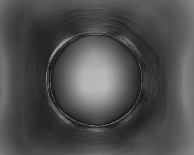 X0000086960796200705071335