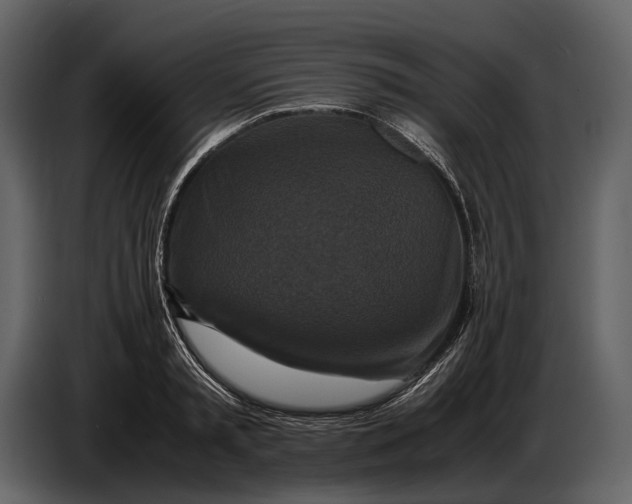 X0000086960797200705071335