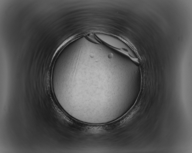 X0000086960798200705071335