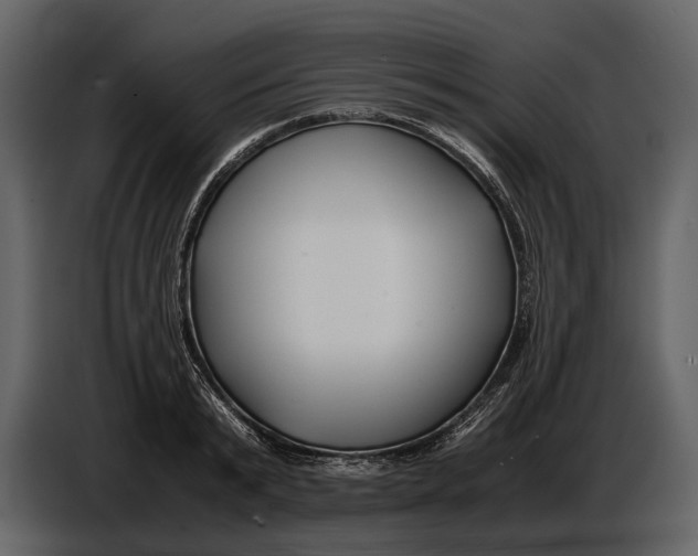 X0000086960799200705071335