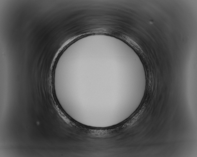X0000086960800200705071335