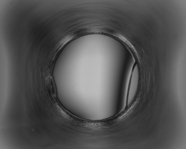 X0000086960801200705071335