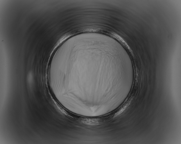 X0000086960802200705071335
