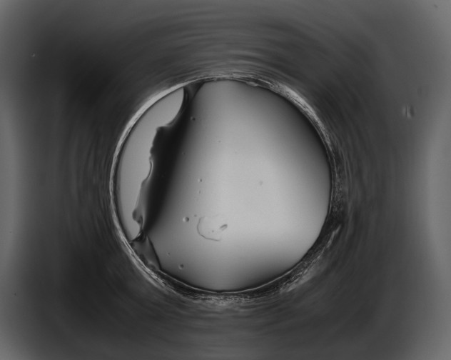 X0000086960803200705071335