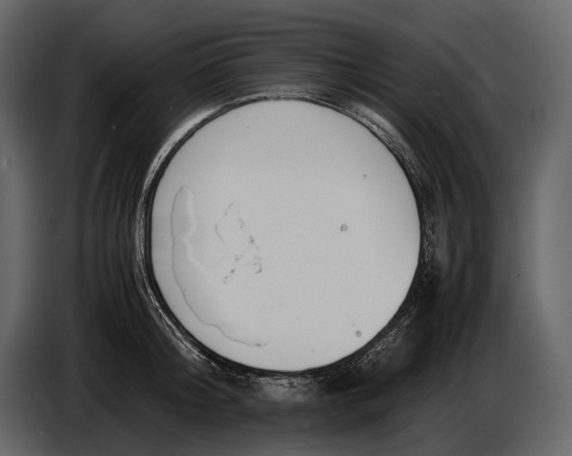 X0000086960804200705071335