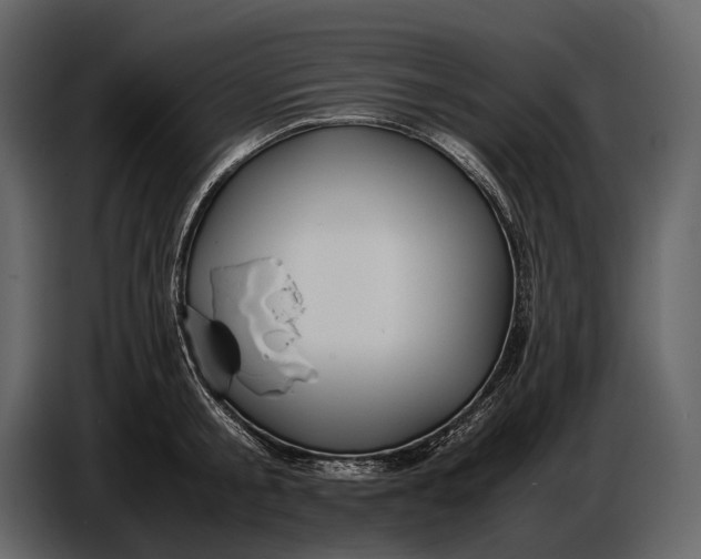 X0000086960805200705071335