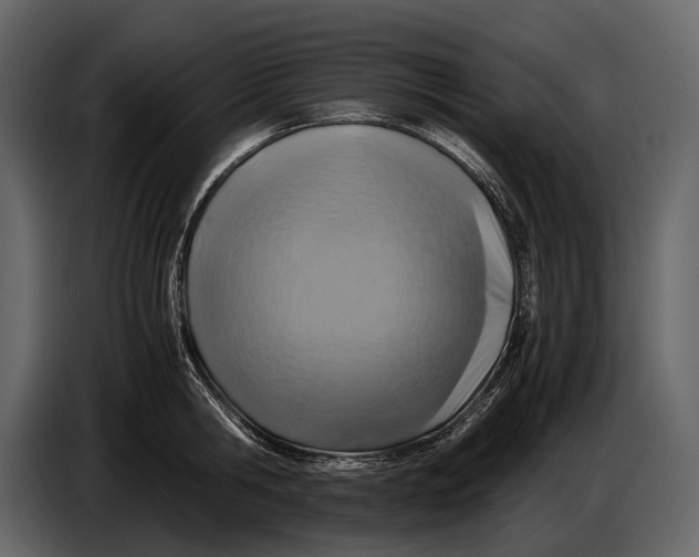 X0000086960806200705071335