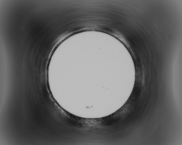 X0000086960807200705071335