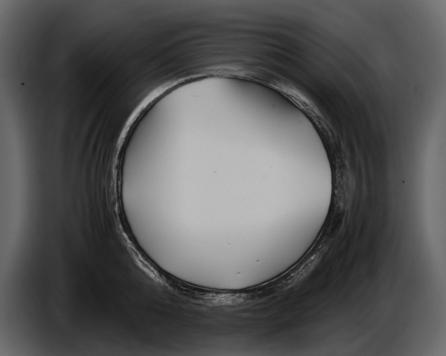 X0000086960808200705071335