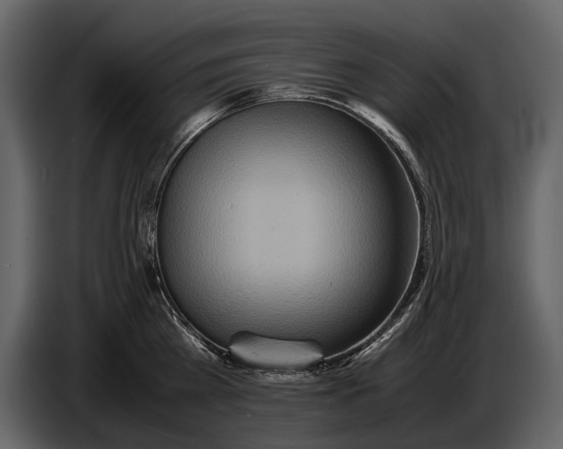 X0000086960809200705071335