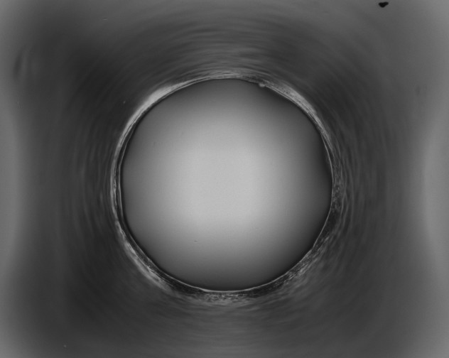 X0000086960811200705071335