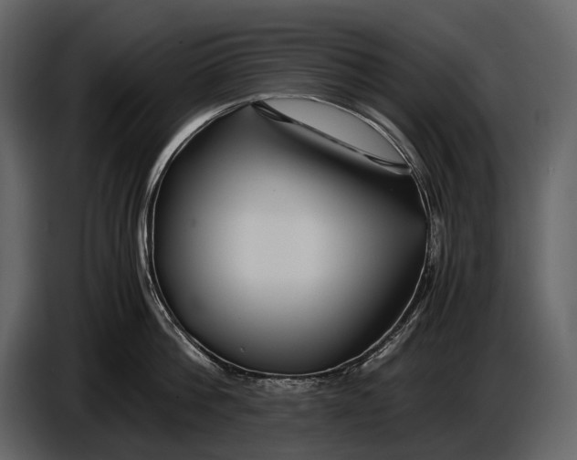 X0000086960812200705071334