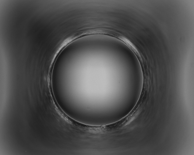 X0000086960813200705071334