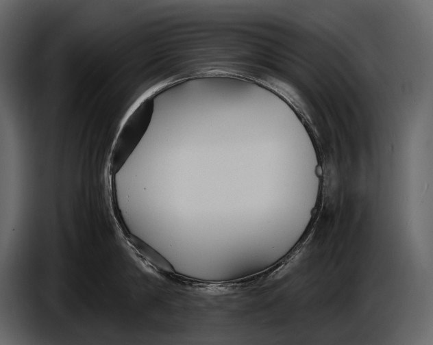 X0000086960814200705071334