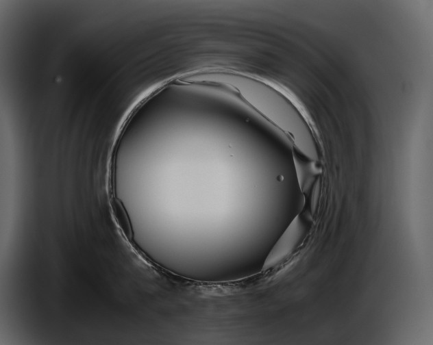 X0000086960815200705071334