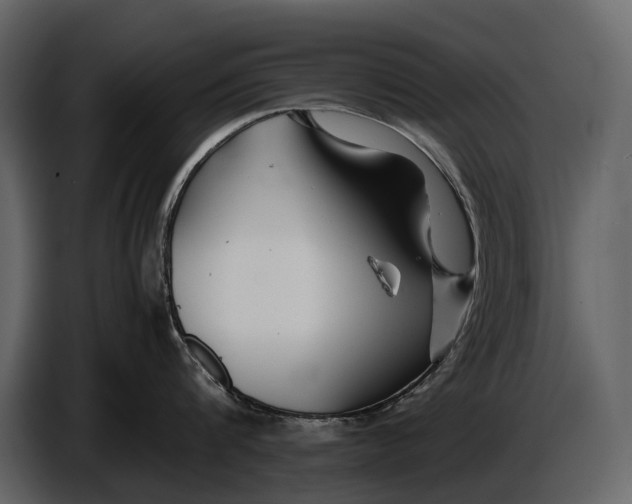 X0000086960816200705071334