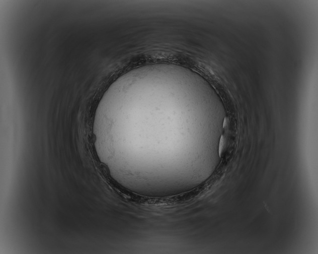 X0000086960817200705071334