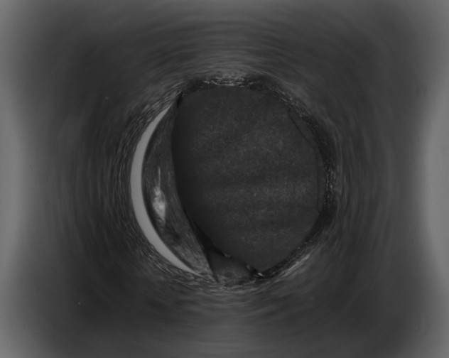 X0000086960818200705071334