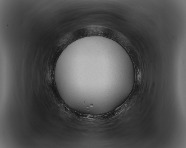 X0000086960819200705071334
