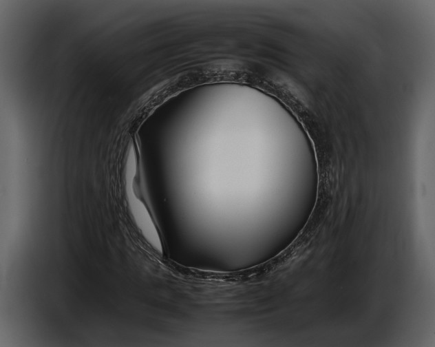 X0000086960821200705071334