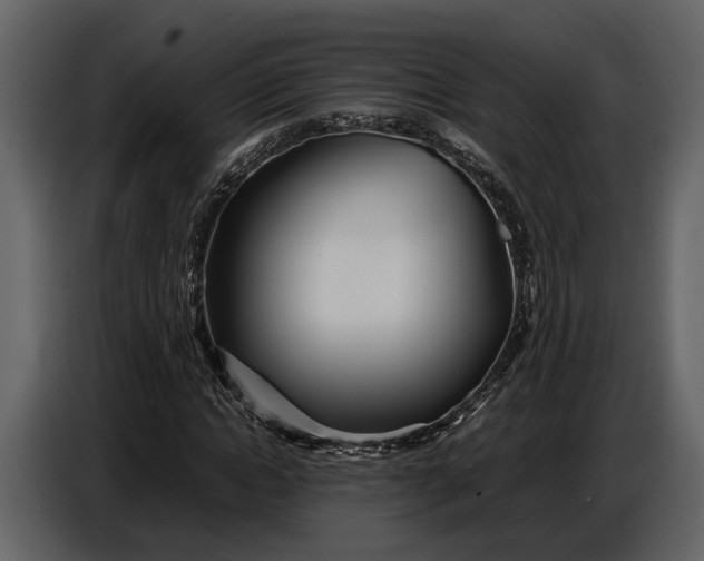 X0000086960822200705071334