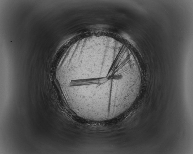 X0000086960823200705071334