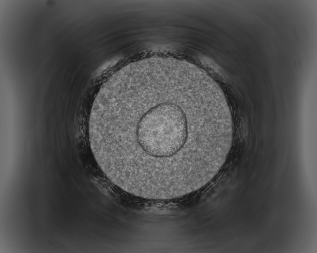 X0000086960824200705071334