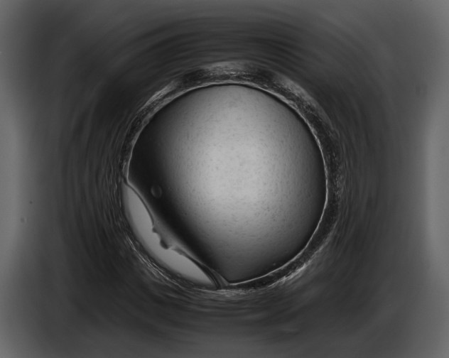 X0000086960825200705071334