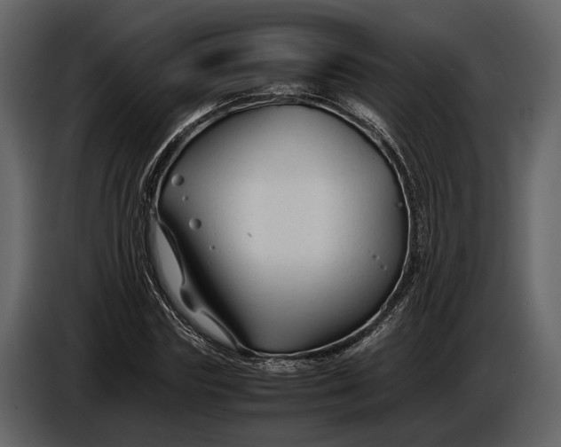 X0000086960827200705071334