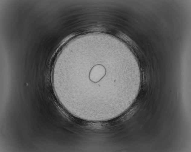 X0000086960828200705071334