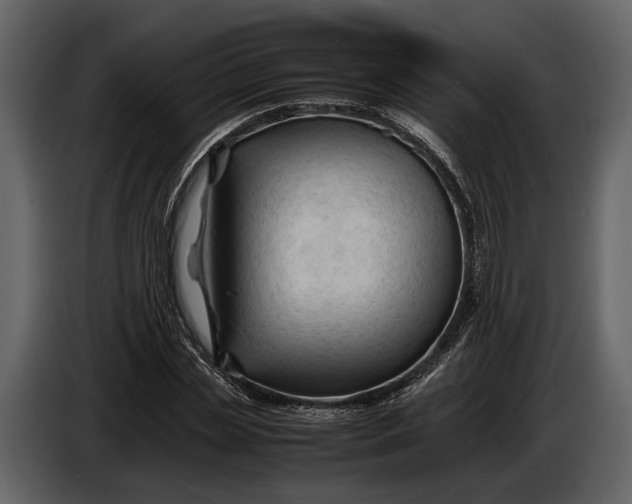 X0000086960829200705071334