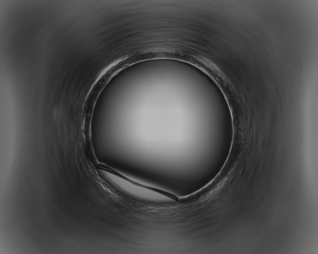X0000086960830200705071334