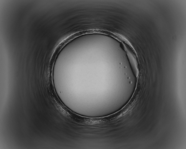 X0000086960831200705071334