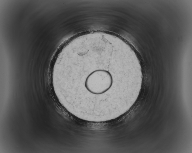 X0000086960832200705071334