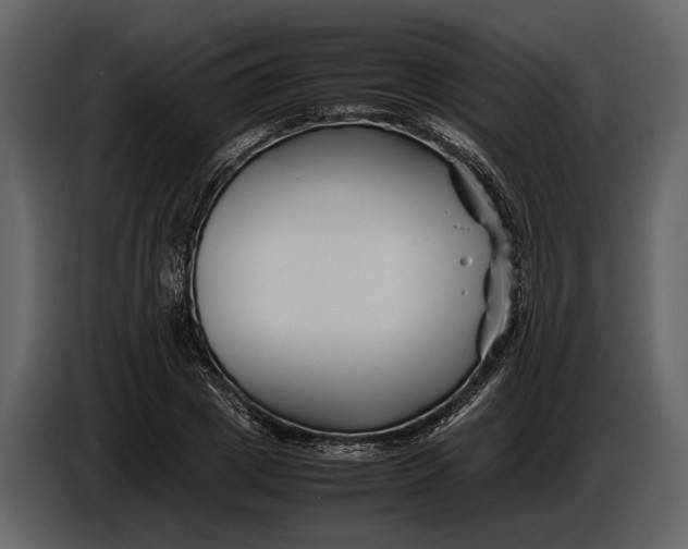 X0000086960833200705071334