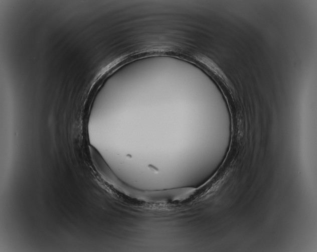 X0000086960834200705071334