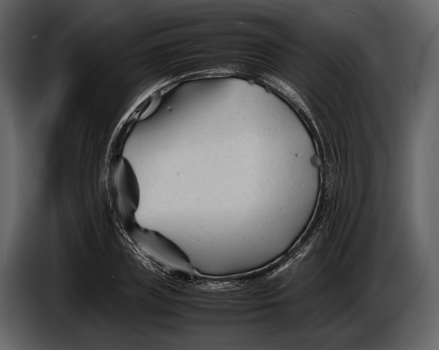 X0000086960835200705071334